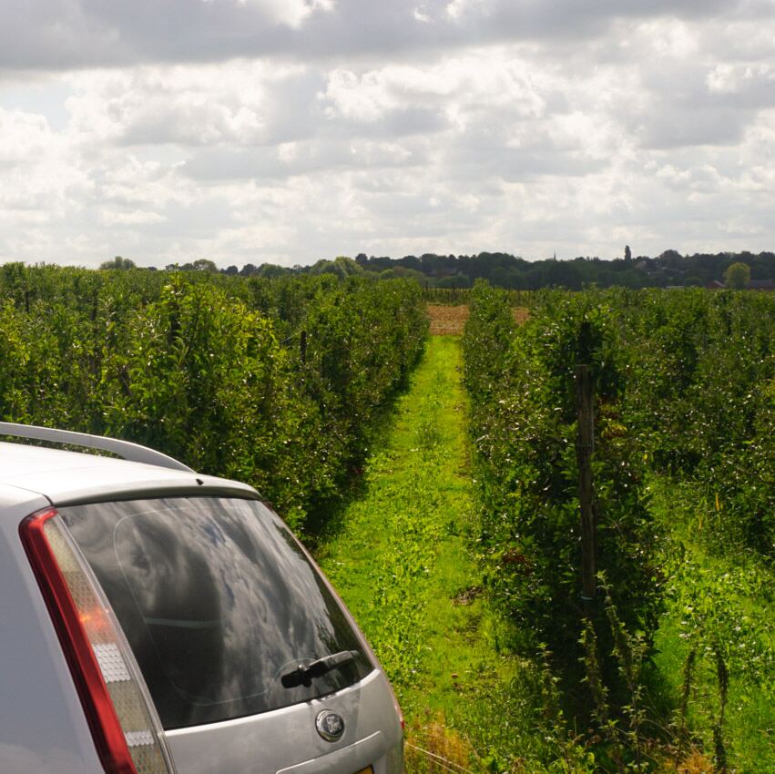 Roadtripfoto van Focus Adventures