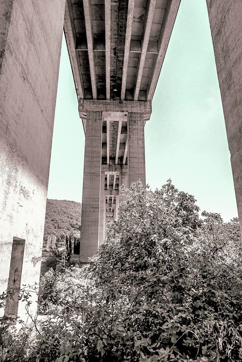 Een zwart-wit foto genomen van onder een grote betonnen snelwegbrug, met de pilaren en het wegdek van de brug prominent in beeld. Op de achtergrond zijn heuvels met begroeiing te zien en op de voorgrond staan struiken en bomen. De lucht is licht van kleur.