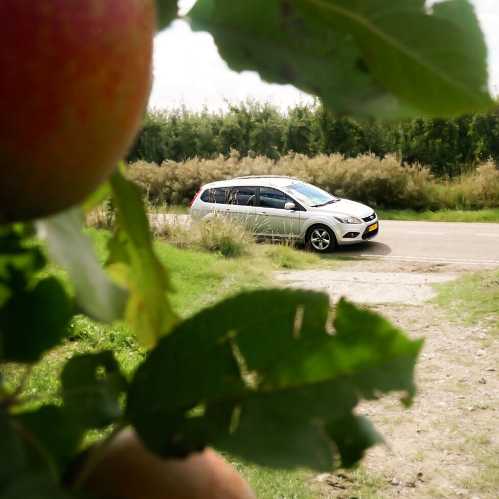 Roadtripfoto van Focus Adventures