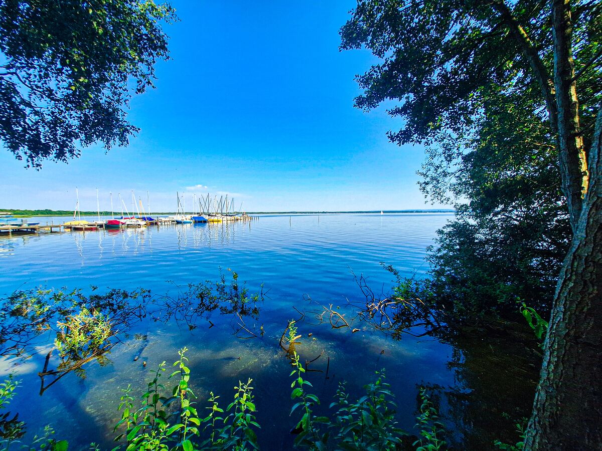 Een breed overzicht van een meer met aan de linkerkant een steiger vol zeilboten. De voorgrond toont waterplanten en takken die deels onder water liggen. Aan de rechterkant en bovenaan zijn boombladeren zichtbaar, die een natuurlijke omlijsting vormen. De lucht is helderblauw en weerspiegelt in het water.