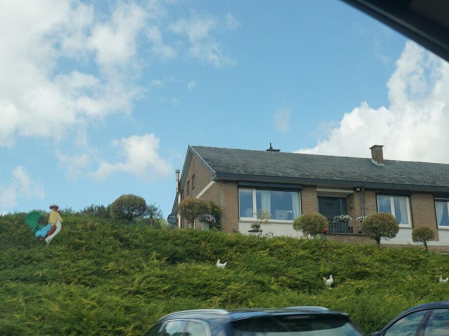Roadtripfoto van Focus Adventures