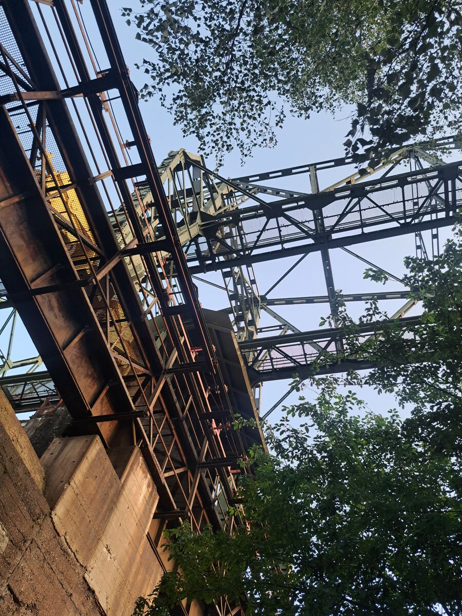 De foto toont een complex van roestige stalen constructies en betonnen pilaren, van onderaf gefotografeerd tegen een helderblauwe lucht. Groene bladeren van bomen omzomen de stalen balken aan de randen van het beeld. Het licht valt van rechtsboven op de structuren, wat schaduwen creëert en de texturen benadrukt.
