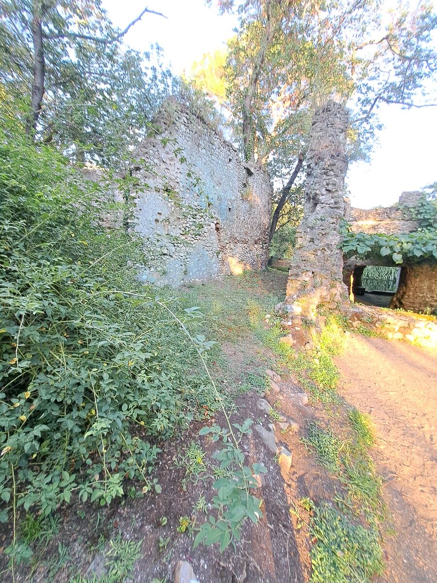 De foto toont een overwoekerd stenen bouwwerk, mogelijk de resten van een oude structuur of ruïne. Grote delen van de muren, opgebouwd uit natuursteen, zijn zichtbaar, deels bedekt met een lichtgrijze of lichtblauwe pleisterlaag die afbrokkelt. Dichte begroeiing van struiken en bomen omringt en groeit deels over de muren heen. Aan de rechterzijde is een deels ingestorte stenen pilaar of muur te zien, en verderop een boogvormige opening die eveneens overwoekerd is met bladeren en takken. De grond