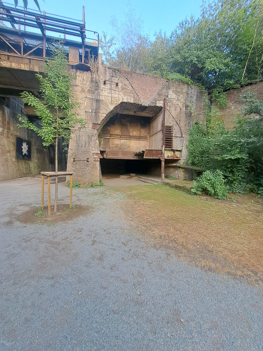 Een industrieel complex met betonnen muren en metalen constructies, deels overwoekerd met groen. Centraal is een grote boogvormige opening zichtbaar, mogelijk een voormalige oven of ingang. Links staat een jonge boom met houten steunen. Op een muur links is een afbeelding van een witte bloem te zien op een donkere achtergrond. De grond bestaat uit grind en droog gras. De lucht is helderblauw.