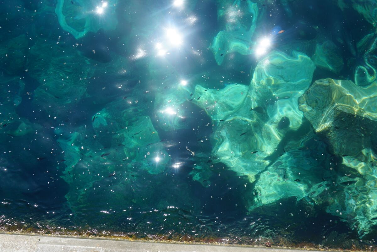 De foto toont een bovenaanzicht van helder, turquoise water. Fel zonlicht reflecteert op het wateroppervlak, wat zorgt voor talloze sterachtige lichtvlekken. Onder het oppervlak zijn kleine, donkere visjes te zien die tussen de rotsformaties op de bodem zwemmen. De rotsen variëren in kleur van lichtgroen tot donkerder grijsblauw. Aan de onderrand van de foto is een betonnen kade zichtbaar, deels bedekt met wat algen of lichte begroeiing.