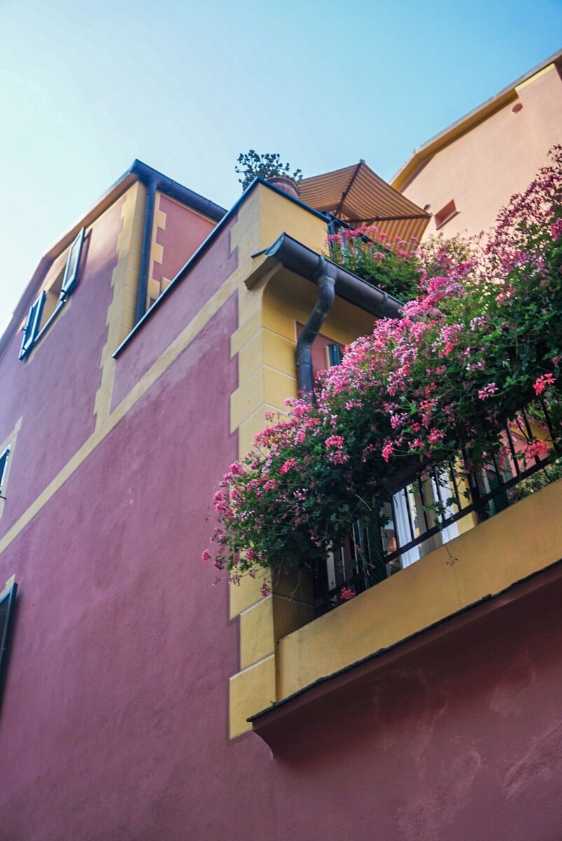 Een gebouw met een roodbruine gevel en gele accenten, gezien vanuit een laag perspectief. Een balkon is rijkelijk voorzien van roze bloeiende planten. Bovenop het gebouw is een gestreepte parasol zichtbaar, en een bruine regenpijp loopt langs de gevel. De lucht is helderblauw.