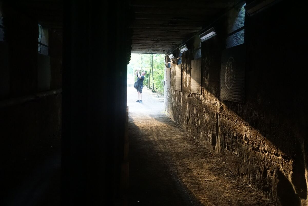 Een donkere, overdekte doorgang met ruwe, betonnen muren en een houten plafond. Aan het einde van de doorgang is een helder verlichte opening zichtbaar, waar zonlicht naar binnen valt en een pad verlicht. Aan de rechtermuur zijn enkele metalen panelen en lampen bevestigd. Een persoon staat bij de uitgang, kijkend naar boven of iets fotograferend. Buiten de doorgang zijn bomen en groen te zien.