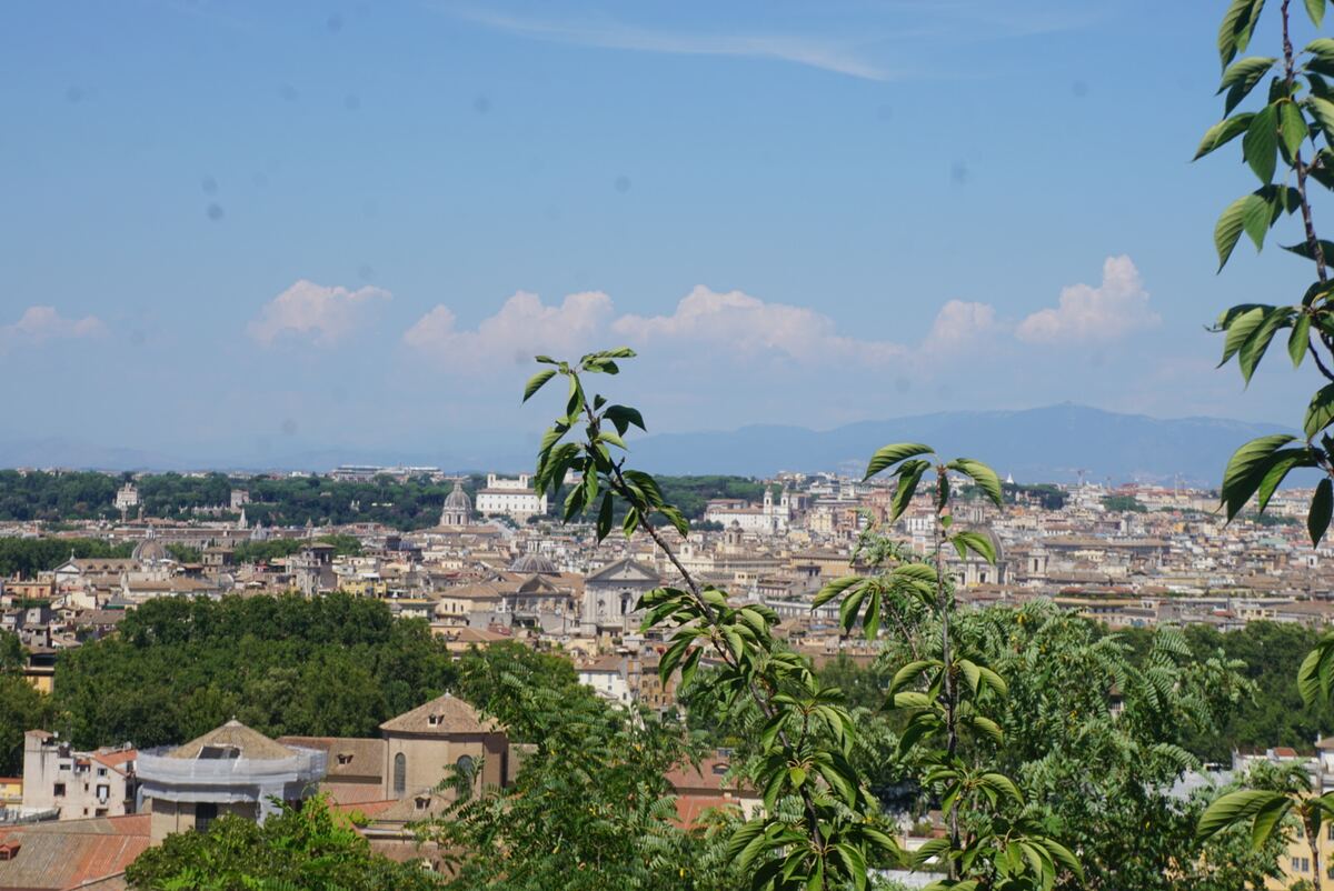 Een panoramisch uitzicht over de stad Rome met veel gebouwen en daken onder een helderblauwe lucht met witte wolken. Op de voorgrond zijn groene bladeren en takken van bomen zichtbaar. In de verte zijn heuvels of bergen te zien.