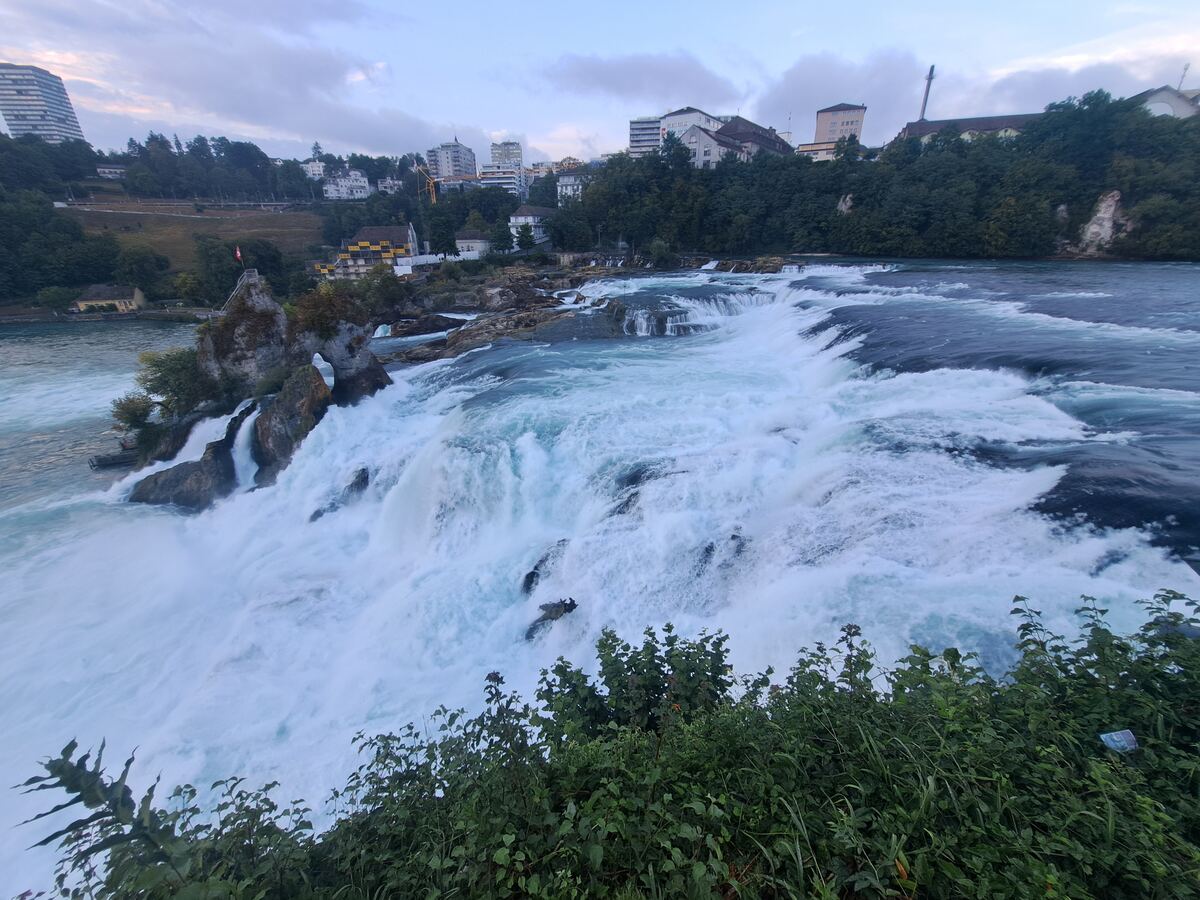 De foto toont de Rijnwatervallen (Rheinfall) vanuit een verhoogd perspectief. Een brede waterval van schuimend wit water stort over rotsen naar beneden, met in het midden enkele grote, begroeide rotsformaties, waarvan één met een Zwitserse vlag. Op de achtergrond, boven de beboste oever, zijn diverse gebouwen te zien, variërend van woonhuizen tot grotere complexen, onder een deels bewolkte avondlucht. Groene begroeiing is zichtbaar op de voorgrond en langs de oevers.