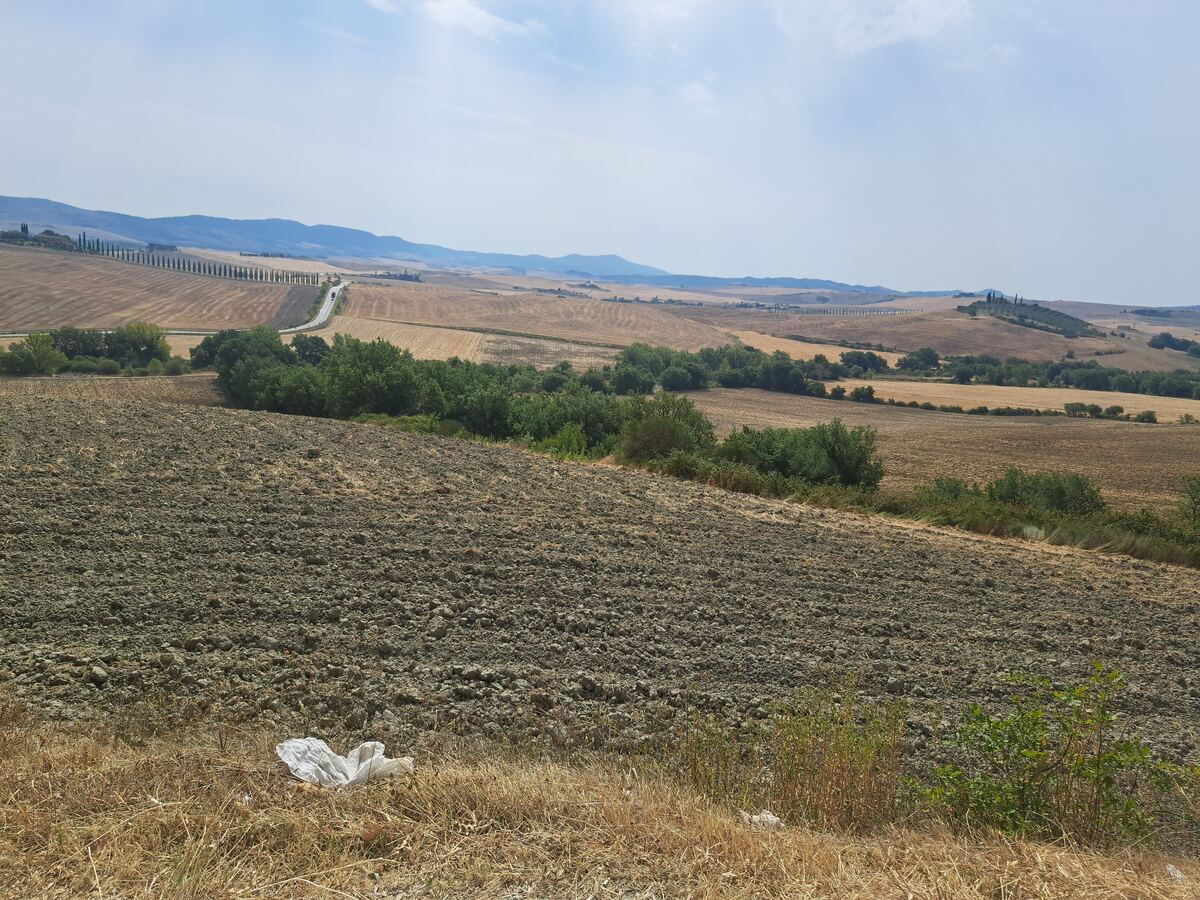 Een weids panorama van het Toscaanse landschap op een zonnige dag. Op de voorgrond is een uitgestrekt, omgeploegd veld te zien met droog gras en een stuk wit afval. Daarachter strekken zich glooiende heuvels uit, bedekt met goudbruine, geoogste velden en verspreide groene boompartijen. Een slingerende weg, mogelijk de Strada Provinciale del Monte Amiata, doorsnijdt het landschap en wordt aan één zijde geflankeerd door een lange rij cipressen. In de verte zijn vage bergcontouren zichtbaar onder e