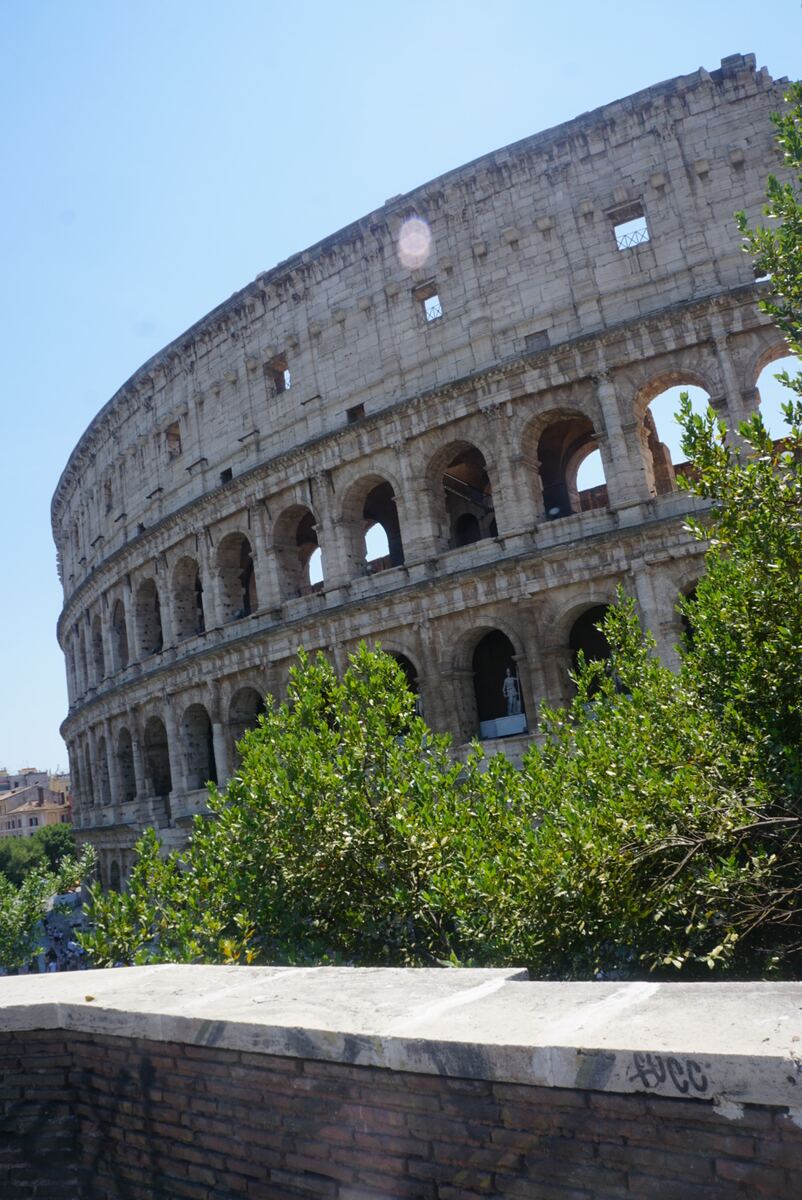 De foto toont een deel van de buitenmuur van het Colosseum in Rome, gezien vanuit een licht verhoogd perspectief. De iconische bogen en de stenen constructie zijn duidelijk zichtbaar tegen een helderblauwe lucht. Groene bladeren van bomen of struiken bedekken een deel van de voorgrond en de onderkant van het bouwwerk. Rechtsonder is een stenen muur of borstwering te zien.
