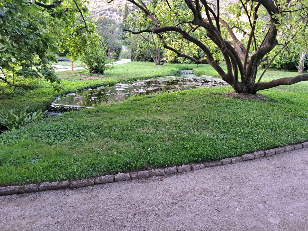 De foto toont een weelderig groene parkomgeving met een kronkelend grindpad op de voorgrond, afgezet met een rij stenen. Links van het pad bevindt zich een grasveld dat overgaat in een kleine waterpartij of vijver, deels bedekt met waterplanten. Een grote, robuuste boom met veel takken staat prominent rechts van de vijver. Op de achtergrond zijn meer bomen en struiken te zien, met een heuvelachtig landschap op de verre achtergrond. Het licht, dat van rechtsboven lijkt te komen, filtert door de b